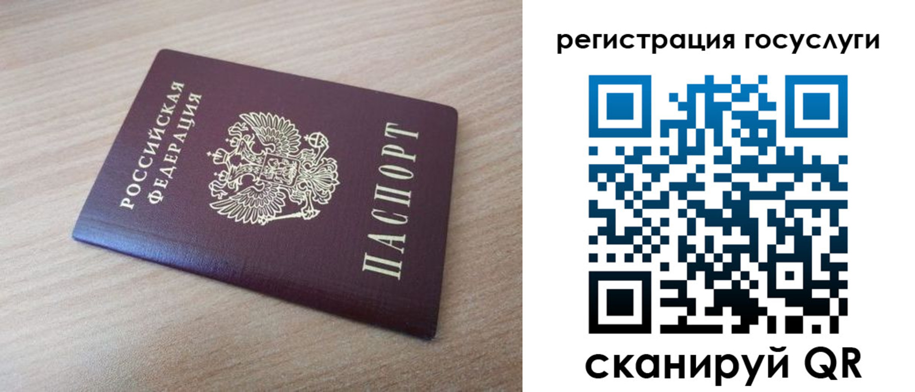 прописка гарантия в Вязьме