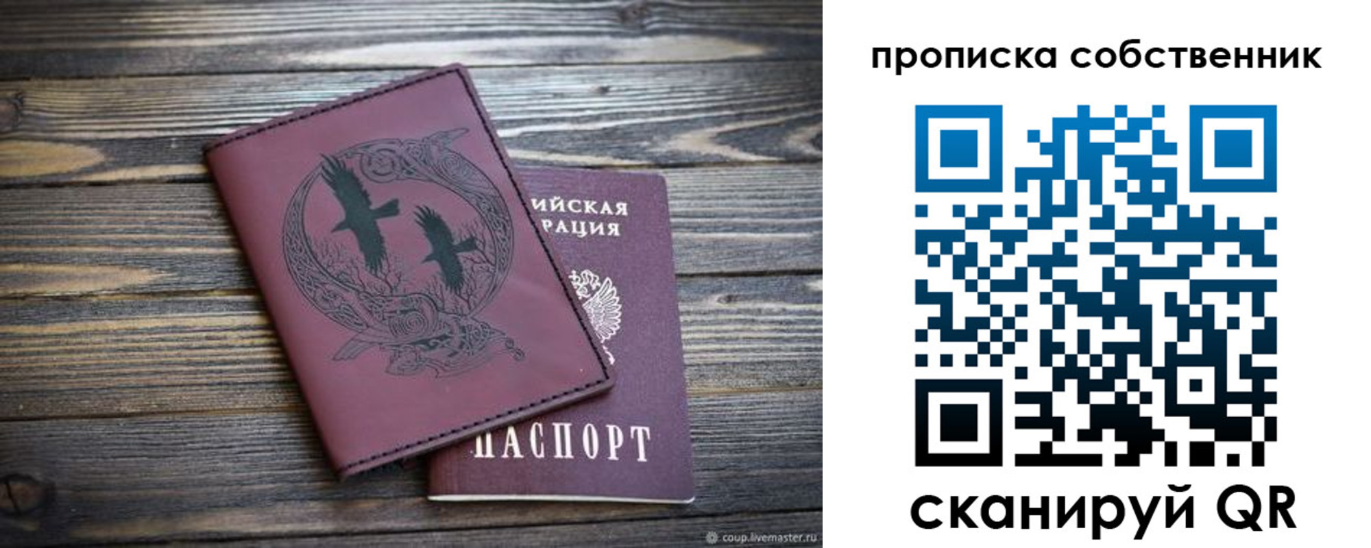 прописка в Вязьме